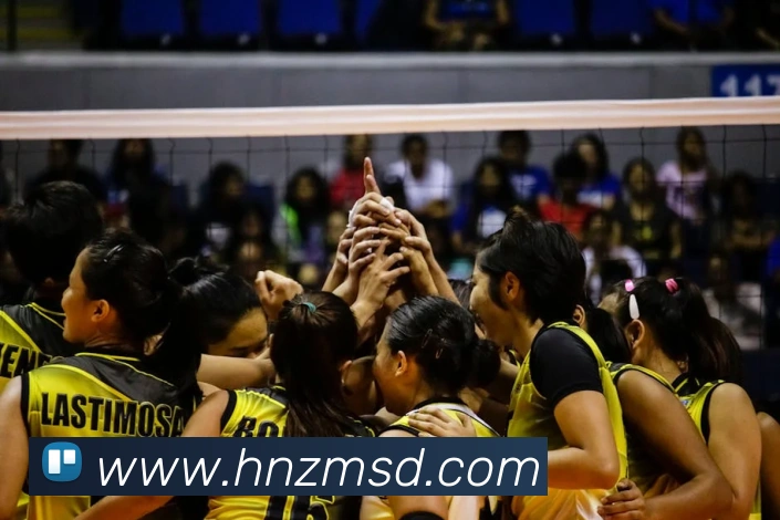 千亿官网登录入口发展历程